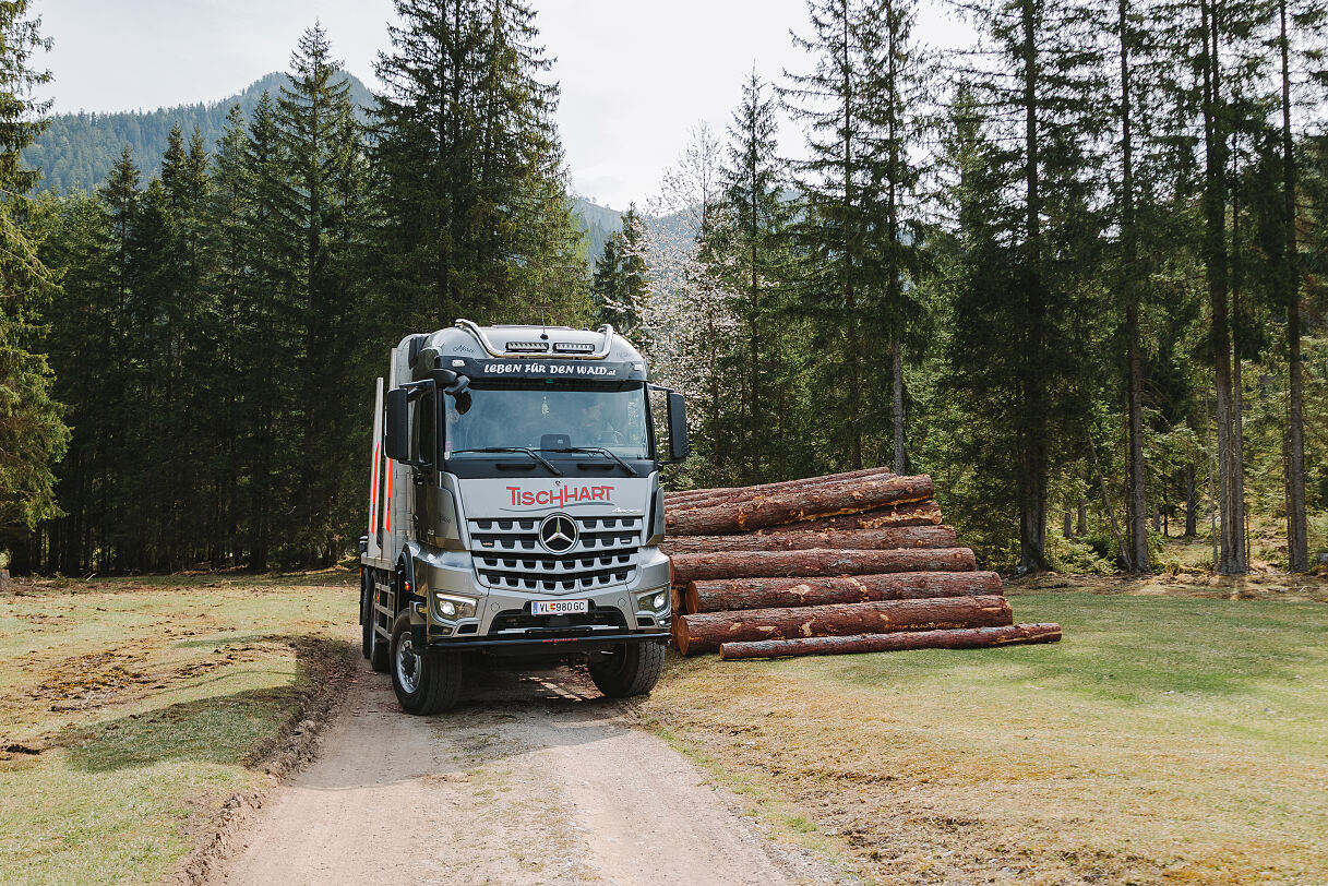 Mercedes-Benz Arocs im Holztransport
