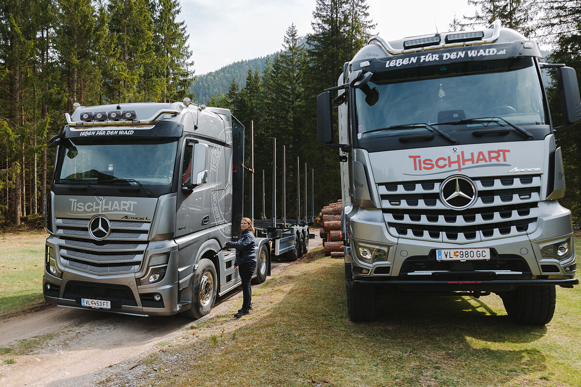Mercedes-Benz Arocs im Holztransport